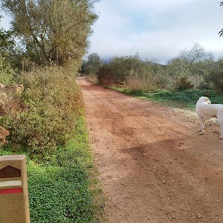 B&B Entrecolinas Paderne  Kültér fotó