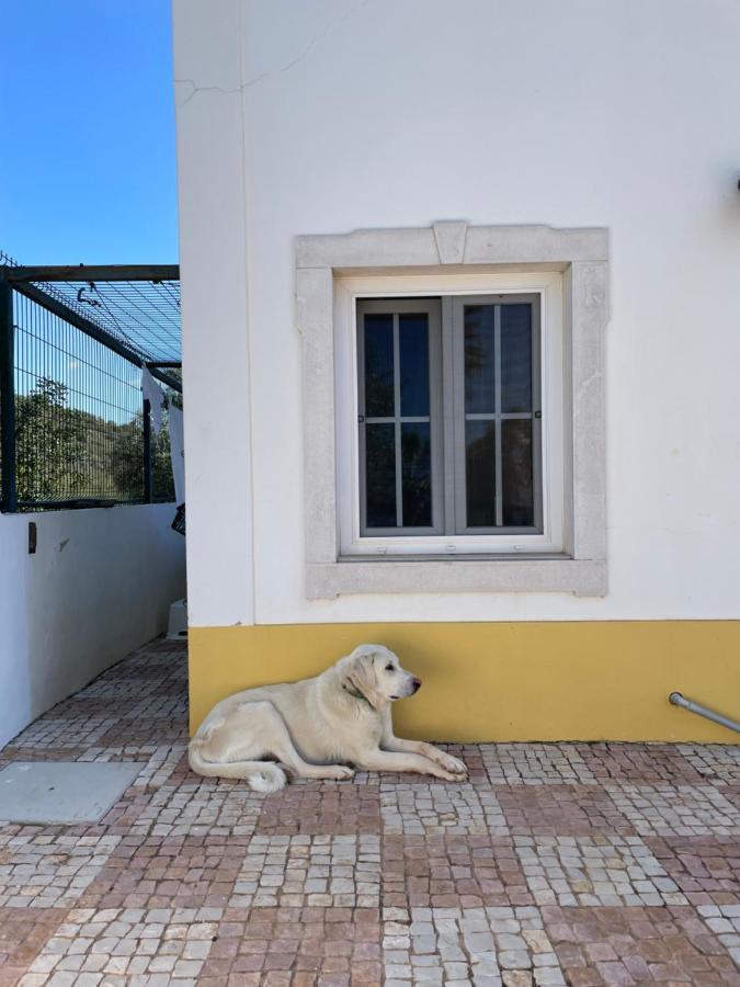 B&B Entrecolinas Paderne  Kültér fotó